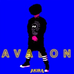 AKIRA THE DON DJ MIXES