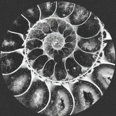 747 - Tourmaline (Original Mix)[Aquaregia]