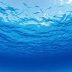 Everything New Prod By Arkadestvtion