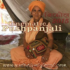 Cinematic Pushpanjali 01