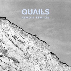 QUAILS - Almost (Korky Buchek Remix)