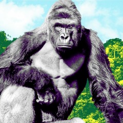 Work It On off (Hurley Mash)