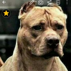 Albee Al - Ten Toes Down.mp3