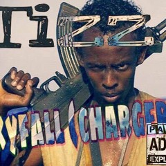 Tizz - Skyfall (charger)