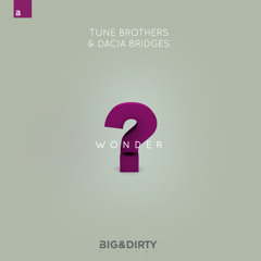 Tune Brothers & Dacia Bridges - Wonder