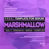 Free Marshmallow Template For Serum Future Bass Marshmello Style Mp3