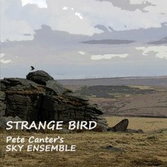 Strange Bird clips 12 & 3