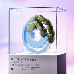 Tom Tyger & Melsen - I Need U (Tom Tyger Miami Edit) [Miami Exclusive] // OUT NOW
