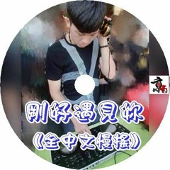DJ 啊平 - 剛好遇見妳 《全中文慢搖》2017