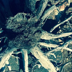 Take Me Over The Silence