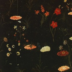 wildflowers [honshu island EP]