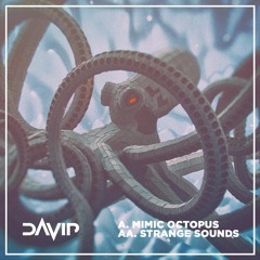 Davip - Strange Sounds (Noisia Radio Cut)