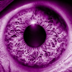 Bedroom Window Part #2 Track #1 - Waiting For The Next Disaster