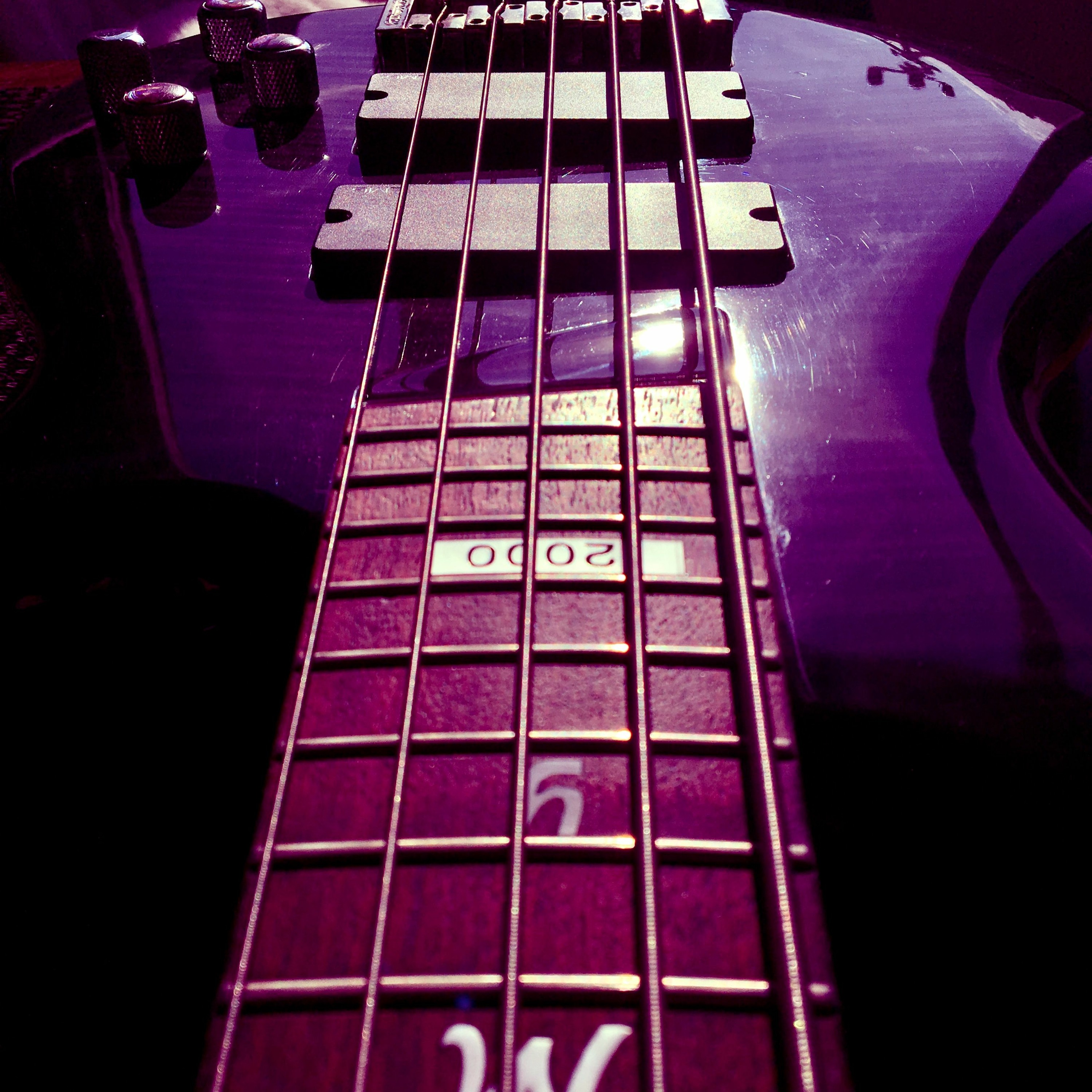 Ligeia\'s Cadence