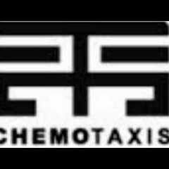 Chemotaxis SoundSystem - Franztek B (2009)