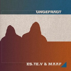 03. Vogelperspektive - aus "ungefragt"