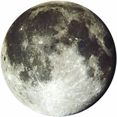 Portraits of the Moon