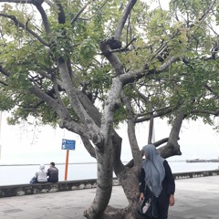 Cover - Kehilangan Kamu (BCL)