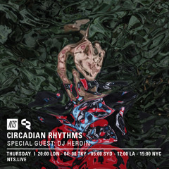 CR 16-02-17 DJ HEROIN