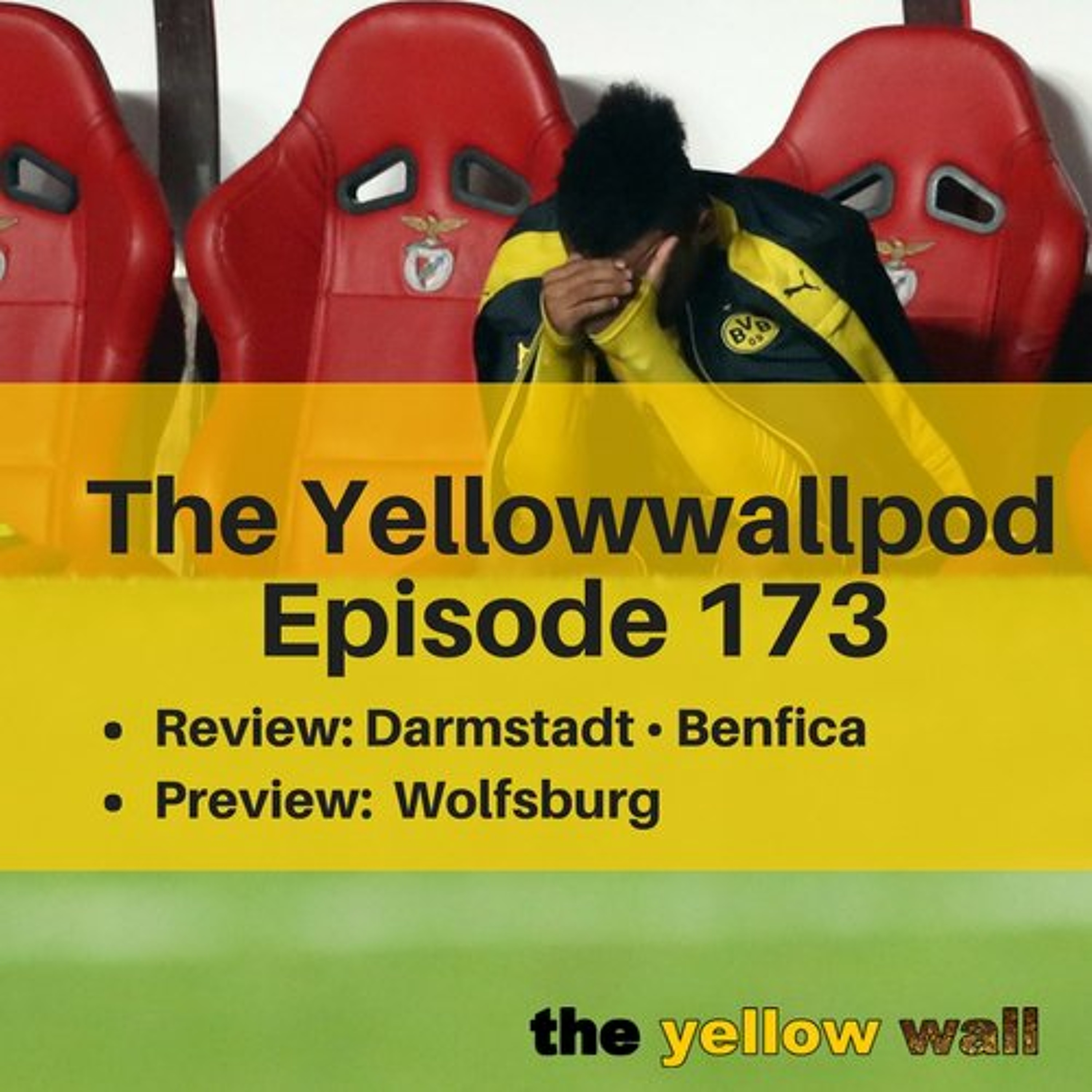 Yellowwallpod