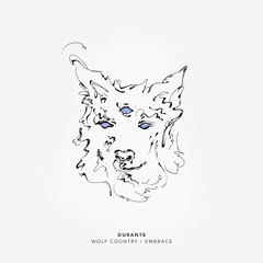 Wolf Country (Original Mix)