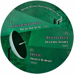 PDR002 - B1 - Lectromagnetique - "Avoid The Void" (Preview)