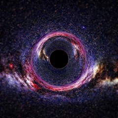 The Cosmic Void