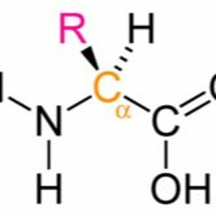 Acidamine