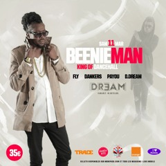 Beenie Man Medley By Dj Fly ---> Le 11 Mars en Martinique en Exclu