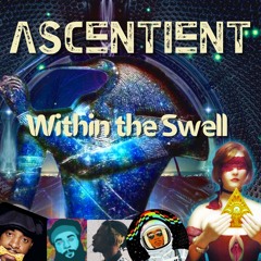 Within The Swell (Repost to support)