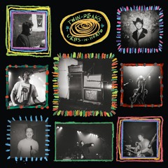 Twin Peaks - "Have You Ever?" [Live at Thalia Hall]