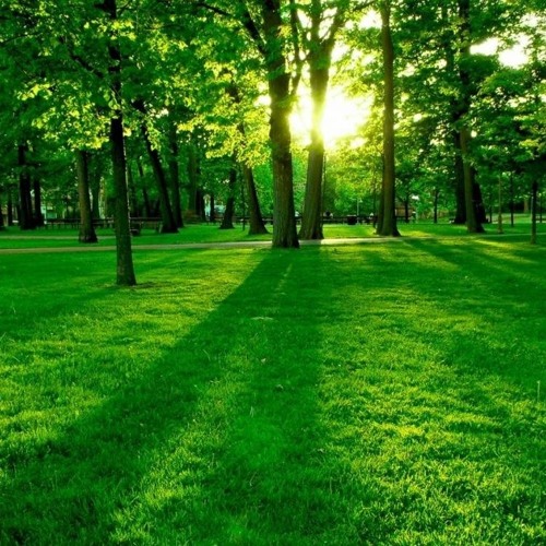 روعه جدا للفنان حسين محب ياكحيل الرنا مال الورش 2017 أيسر الجراح