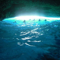 OGJ Chillipiece - Broccoli (HIPRO)