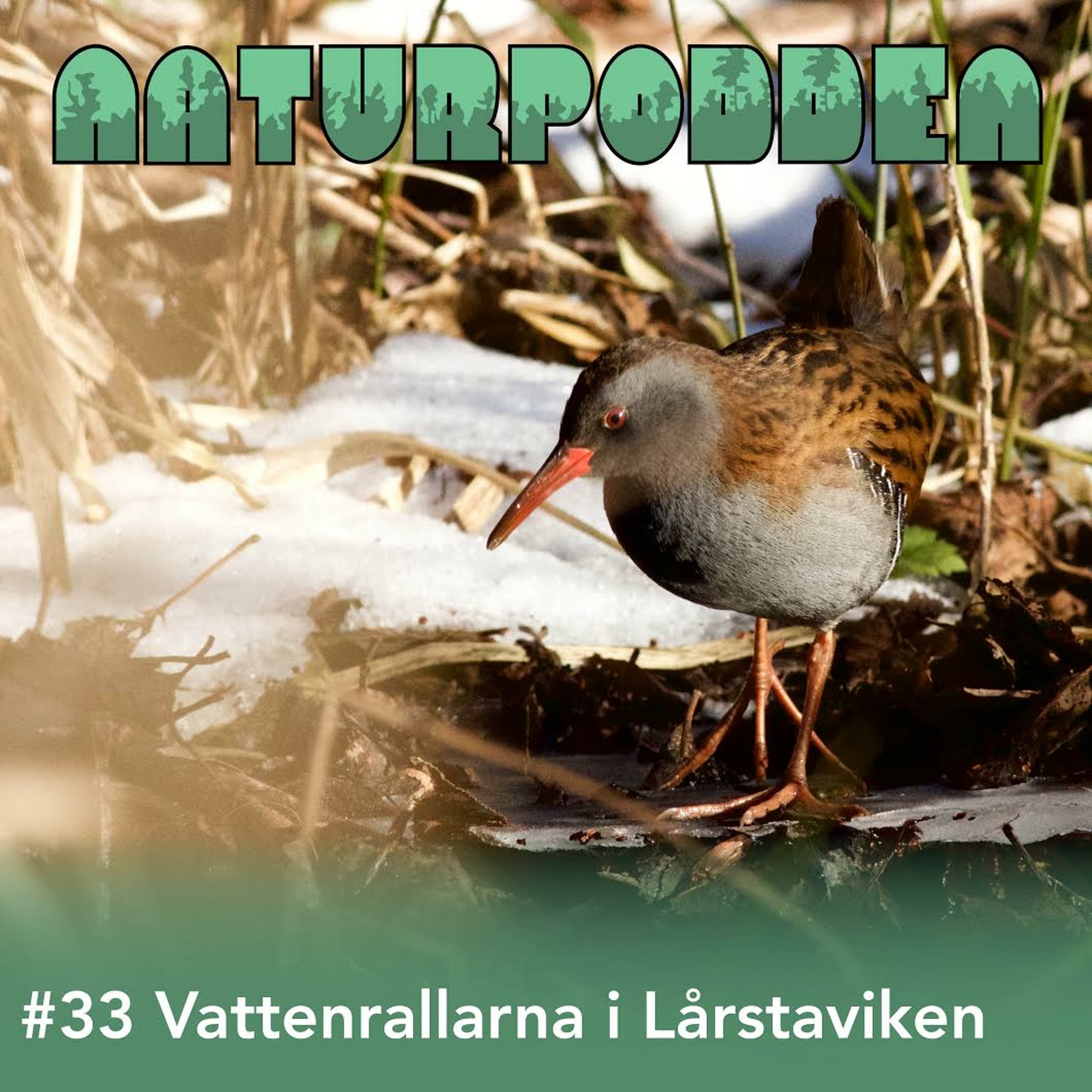 Naturpodden - Producerad av Biotopia