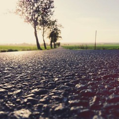 Bandit (Neil Young) - Melanie Age