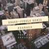 Drake Jungle Remix Mp3