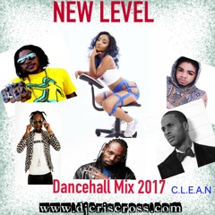 NEW LEVEL 2017 DANCEHALL MIX [CLEAN] - @DJCRISCROSS1876