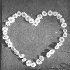 Can't Help Falling In Love Cover