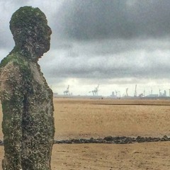 Basking Sharks - Cars Hiss By My Window