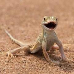 The Laughing Lizard