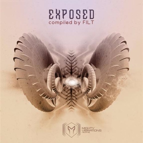 Diffus - Laptop Lapdance ( Mighty virbrations rec)