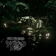 Skilled None - Turbo Dao