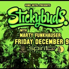 Marty Funkhauser Live @ SpiritBar 12/9/2016 Opener Set for Stickybuds