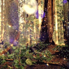 Forest Glitter