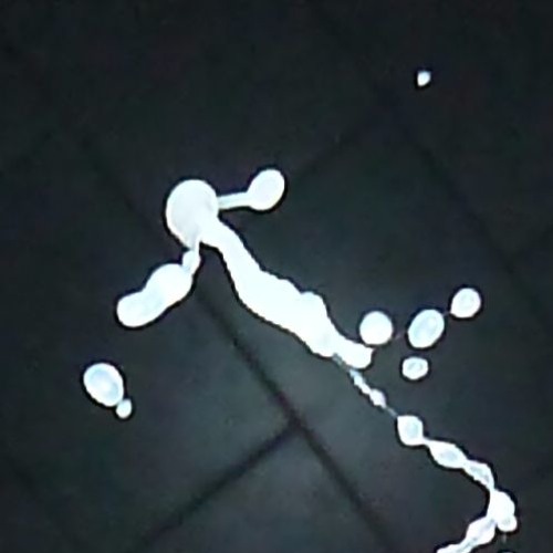A Vortex  Aborted , 2000