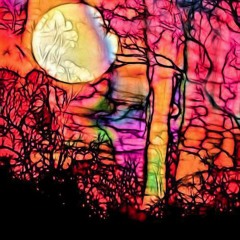 Spectacularly Regular