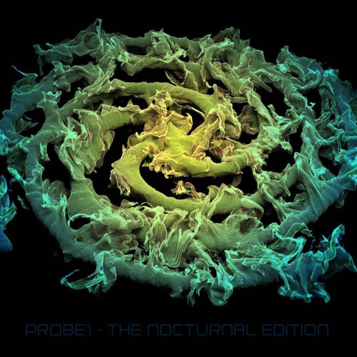 The nocturnal edition (2017)