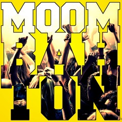 30 Minutes of Moombahton Vibes