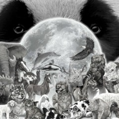 AN1M4L$ (Animalez mucho peligrosos!)