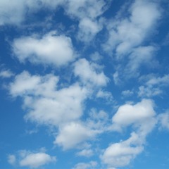 la petite abeille animé